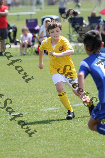 IMG_0208 (cam 0)