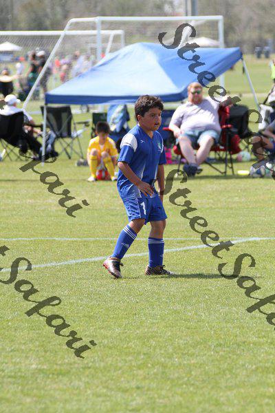 IMG_0217 (cam 0)