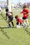 IMG_0101 (cam 0)