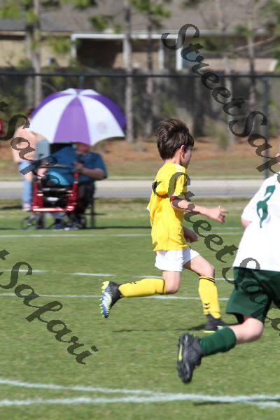IMG_0081 (cam 0)