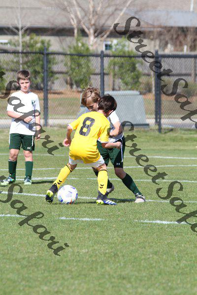 IMG_0084 (cam 0)
