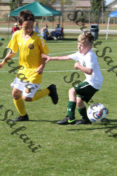 IMG_0120 (cam 0)