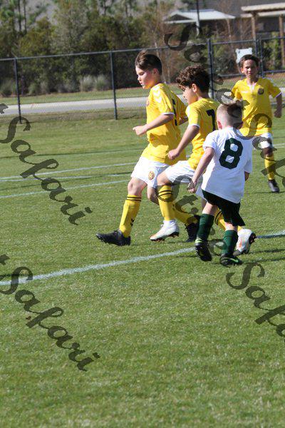 IMG_0217 (cam 0)