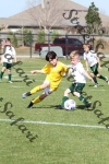 IMG_0040 (cam 0)