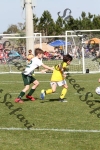 IMG_0073 (cam 0)