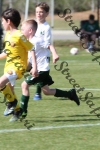 IMG_0177 (cam 0)