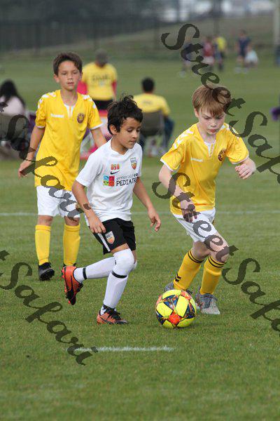 IMG_0028 (cam 0)