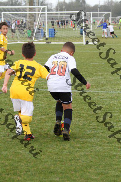 IMG_0080 (cam 0)