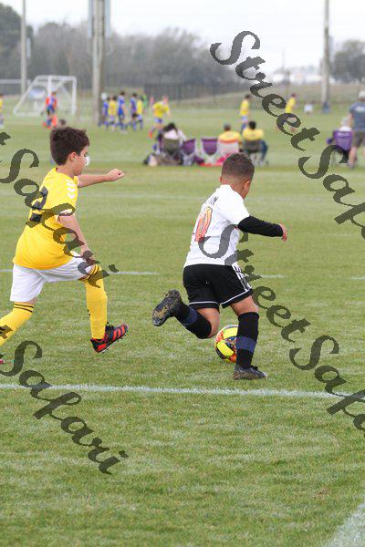 IMG_0081 (cam 0)