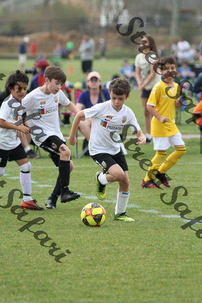 IMG_0129 (cam 0)