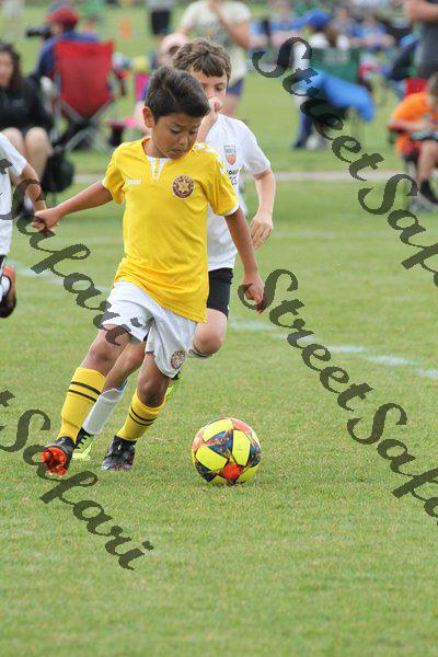 IMG_0131 (cam 0)