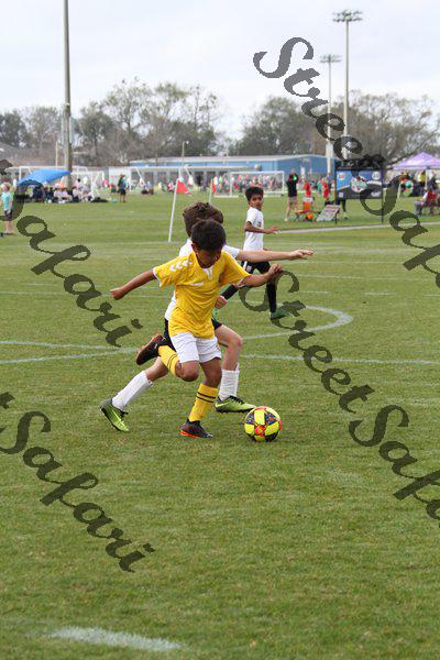 IMG_0136 (cam 0)
