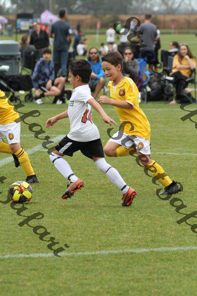 IMG_0160 (cam 0)