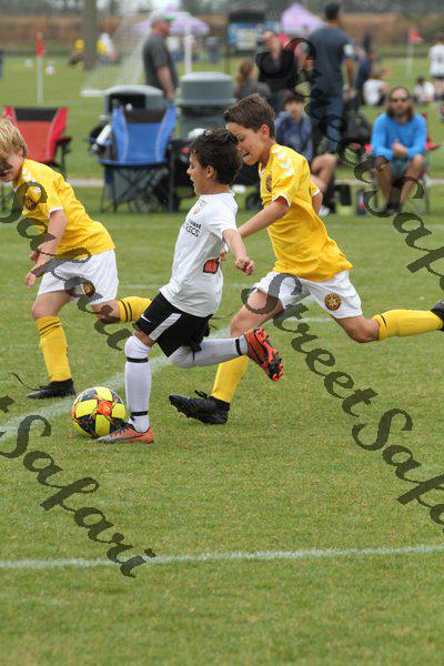 IMG_0161 (cam 0)