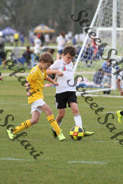 IMG_0201 (cam 0)