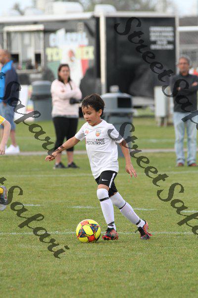 IMG_0237 (cam 0)