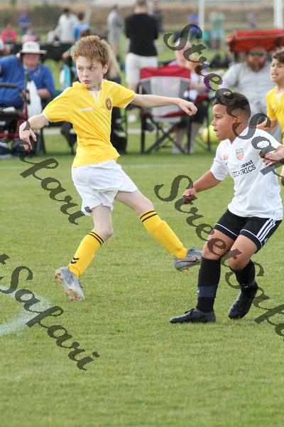 IMG_0268 (cam 0)