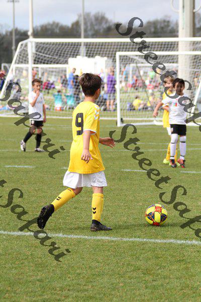 IMG_0286 (cam 0)