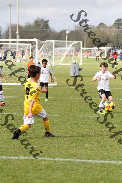 IMG_0288 (cam 0)