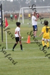 IMG_0036 (cam 0)