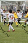 IMG_0111 (cam 0)