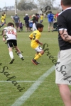 IMG_0141 (cam 0)
