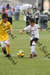 IMG_0148 (cam 0)