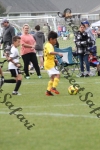 IMG_0151 (cam 0)