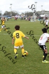 IMG_0246 (cam 0)