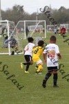 IMG_0250 (cam 0)