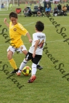IMG_0266 (cam 0)
