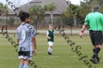 IMG_0100 (cam 0)