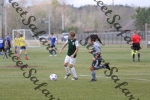 IMG_0238 (cam 0)