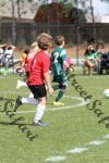 IMG_0016 (cam 0)