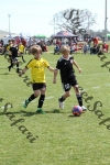 IMG_0144 (cam 0)