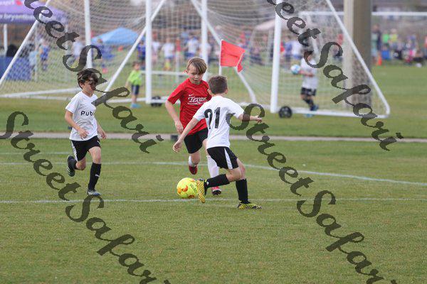IMG_0042 (cam 0)