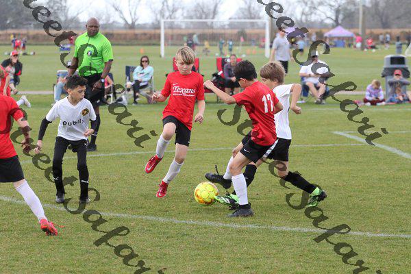 IMG_0082 (cam 0)