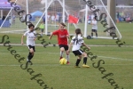 IMG_0043 (cam 0)