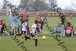 IMG_0067 (cam 0)