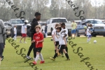 IMG_0182 (cam 0)