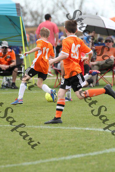 IMG_0137 (cam 0)
