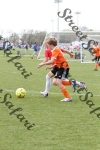IMG_0045 (cam 0)