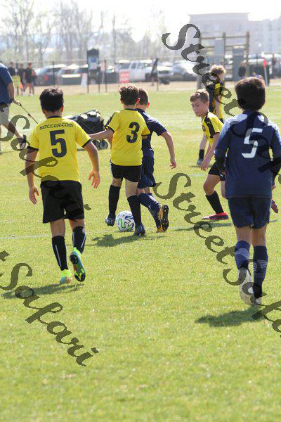 IMG_0127 (cam 0)
