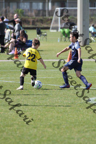 IMG_0184 (cam 0)