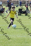 IMG_0208 (cam 0)