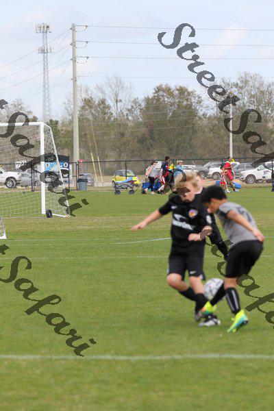 IMG_0025 (cam 0)