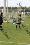 IMG_0031 (cam 0)