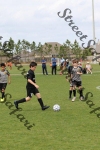 IMG_0044 (cam 0)