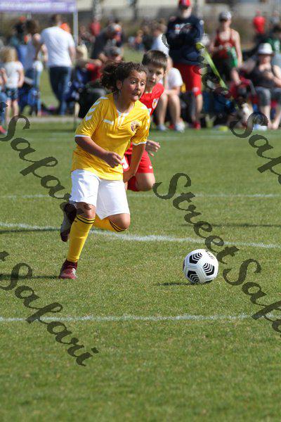 IMG_0062 (cam 0)
