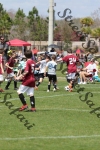IMG_0081 (cam 0)